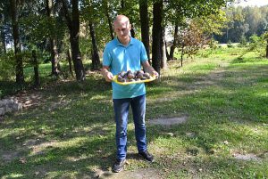 Mężczyzna stoi na łące wśród drzew. Trzyma żółta tacę na której są ziemniaki.