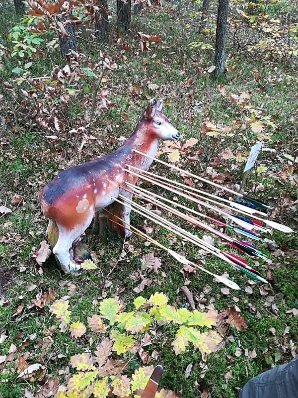 Atrapa sarny jako tarcza z trafionymi lotkami