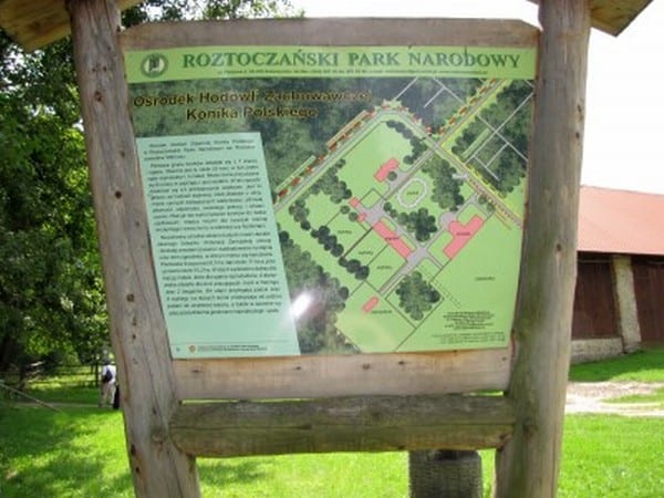 Plan Ośrodka zachowawczej Hodowli Konika Polskiego w Roztoczańskim Parku