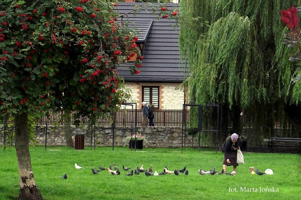 Kobieta karmiąca kury, w tle dom.