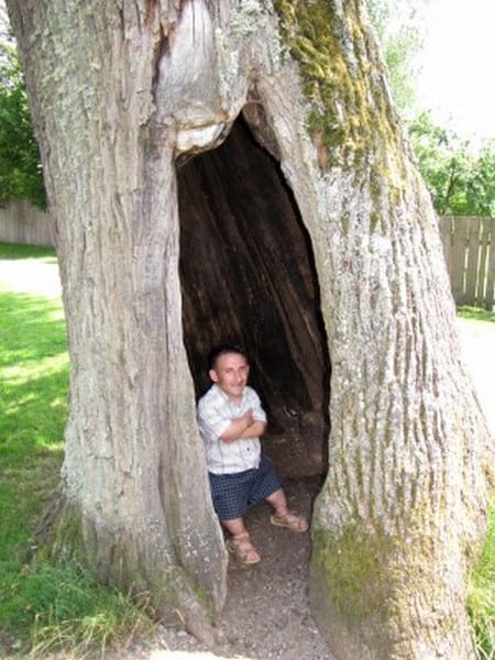 Mężczyzna z karłowatością we wnętzru wielkiej jamy w drzewie