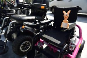 Wózki inwalidzkie stoją w rzędzie ma deptaku w miescie.