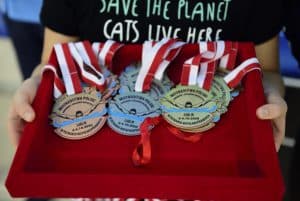 Osoba trzyma medale w specjalnym futerale. Jest ich kilka dla pierwszego, drugiego i trzeciego miejsca.