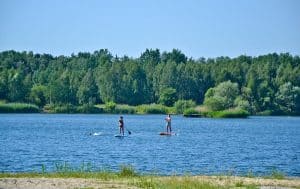 Na pierwszym planie znajduje się plaża porośnięta miejscami trawą. Na jeziorze na deskach z wiosłami stoją dwie osoby. W tle za jeziorem widać gęsty las.