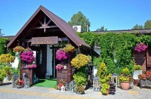 Budynek ozdobiony kwiatami, lampionami oraz porośnięty roślinnością z drewnianym gankiem z napisem „Zacisze”. Nad budynkiem bezchmurne niebo.