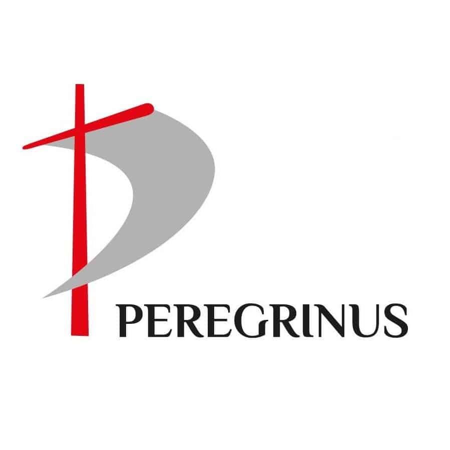 Logo z znakiem: Peregrinus