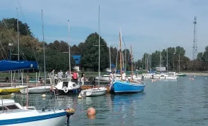 Są żaglówki na wodzie, bez masztów. W tle drzewa i zachmurzone niebo.
