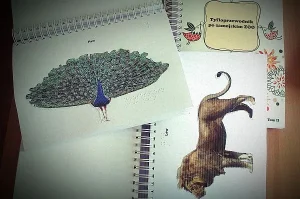 Na zdjęciu jest otwarty skoroszyt a w nim rysunki zwierząt - pawia i lwa.