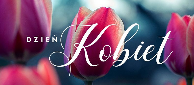 Zdjęcie różowych płatków tulipanów. Na środku napis: Dzień Kobiet
