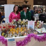 Stoisko wystawiennicze Placówki Wsparcia Dziennego „Jutrzenka”