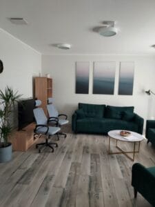 Pokój wyposażony w meble wypoczynkowe i telewizor