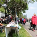 Uczestnicy pikniku usytuowani wzdłuż alei nad Zalewem Zemborzyckim