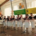 Występ zespołu wokalnego “Retro” z Klubu Seniora w Świdniku