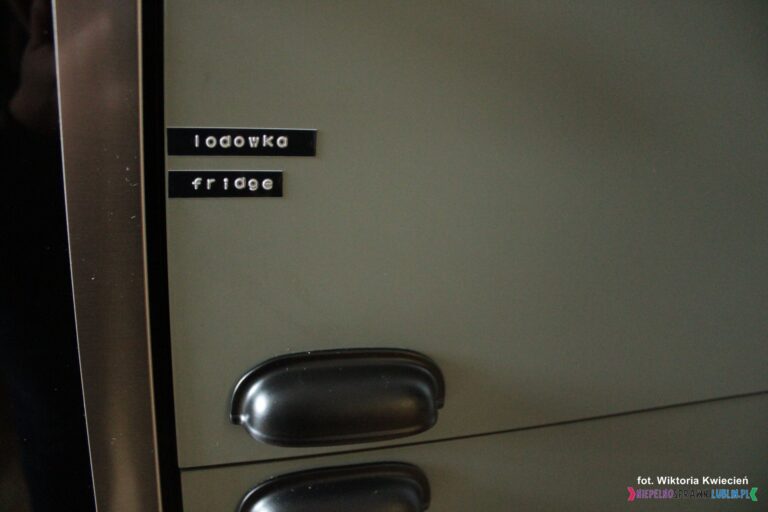 Dwujęzyczne (polski, angielski), słowne oznaczenie lodówki białym wypukłym pismem na czarnym tle