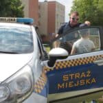 Radiowóz Straży Miejskiej, obok chłopiec mierzy czapkę funkcjonariusza