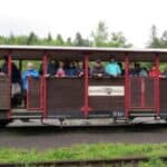 Uczestnicy wyglądający z wagonika kolejki