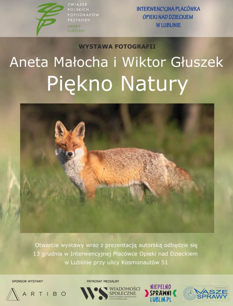 Plakat wystawy fotografii Anety Małochy i Wiktora Głuszka"Piękno natury" ze zdjęciem lisa