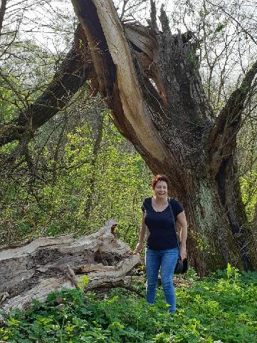 Pani Krystyna na łonie natury- w lesie przed ogromnym drzewem, z lewej strony powalony konar