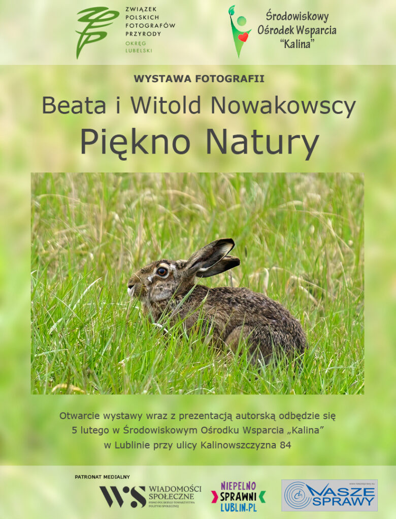 Plakat promujący wydarzenie. Na środku plakatu zdjęcie zająca w trawie