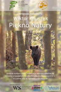 Plakat wystawy fotografii Wiktora Głuszka "Piękno natury". Na środku umieszczono fotografię dzika, stojącego wśród drzew