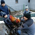 Mężczyzna siedzący na wózku inwalidzkim wpatruje się w koguta i głaszcze go, drugi mężczyzna też na wózku patrzy się w bok a obok nich dwóch mężczyzn - jeden stoi, drugi kuca i trzyma koguta. Kogut ma jaskrawoczerwony grzebień i wielobarwne pióra. W tle widać budynek i ogrodzenie; na ziemi leży trochę śniegu.