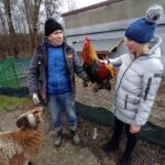 Nastolatka w szarej kurtce głaszcze kolorowego koguta, trzymanego przez starszego mężczyznę. Koza o brązowym futrze stoi blisko osób i patrzy na nich. W tle widać część budynku i drzewa bez liści.