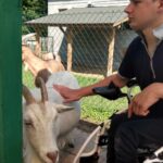 Młody mężczyzna w czerwonej czapce z daszkiem siedzący na elektrycznym wózku inwalidzkim głaszcze białą kozę. W tle widać inne kozy oraz budynki i ogrodzenie