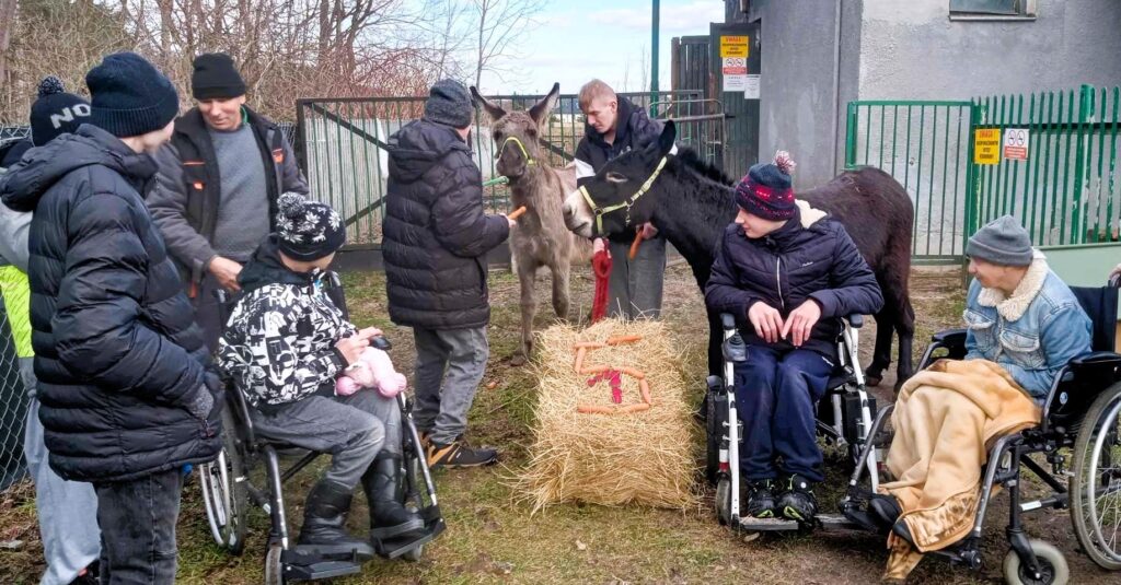 Grupa osób, w tym trzy siedzące na wózkach inwalidzkich oraz dwa osły - jeden o ciemnym umaszczeniu, a drugi jaśniejszy. Pomiędzy osobami na wózkach znajduje się stóg siana, na którym ułożone są marchewki w kształcie cyfry 5. W tle widać budynek, ogrodzenie zielonego koloru oraz drzewa bez liści