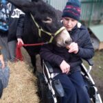 Młody mężczyzna na wózku inwalidzkim karmi końcówką marchewki osła. Obok niego znajduje się drugi mężczyzna, który trzyma czerwoną smycz osła.