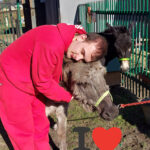 Młody mężczyzna w czerwonym dresie, przytula się do szarego osła. W tle znajduje się czarny osioł oraz zielone metalowe ogrodzenie. U dołu zdjęcia widoczna jest litera: I oraz emotka czerwone serce.