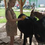 Młoda dziewczyna głaszcze osła pod drewnianym zadaszeniem. Jest ubrana w kropkowaną sukienkę i białe chodaki.