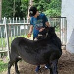 Młody mężczyzna w czarnej czapce z daszkiem głaszcze czarnego średniego konika. W tle białe ogrodzenie i zielone drzewa. Po prawej stronie widoczna jest część ciała drugiego mężczyzny w zielonej koszulce.