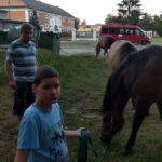 Trzech mężczyzn i trzy konie na trawniku. Natolatek trzyma konia za uzdę. W tle widoczne są budynki mieszkalne oraz czerwony bus.