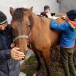 Mężczyzna trzyma konia za uprząż głaszcząc go po pysku. Koń jest brązowy. Pomiędzy koniem stoją nastolatkowie Na grzbiecie konia siedzi czarno-biały kot.
