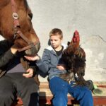 Chłopiec siedzi na ławce, wyciągając dłoń ku pyskowi konia. Na jego udzie stoi kolorowy kogut, a obok niego siedzi mężczyzna, częściowo zasłonięty przez głowę konia.