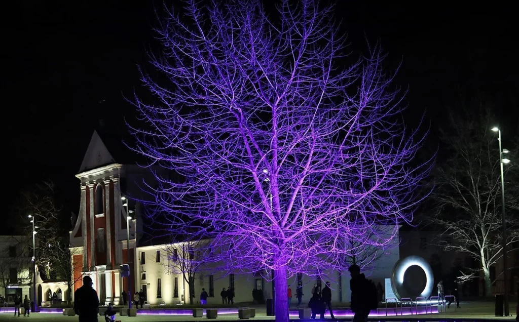 Podświetlony na fioletowo Plac Litewski