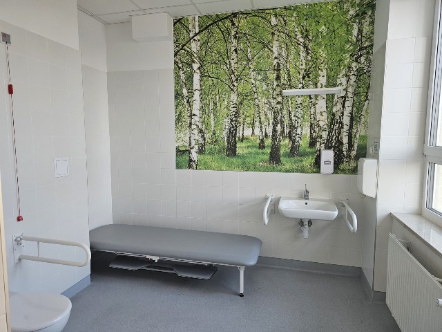 Łazienka utrzymana w odcieniach szarości. Na ścianie jest fototapeta przedstawiajaca wnętrze brzozowego lasu. W pomieszczeniu znajaduje się szara leżanka, umywalka z poręczami dla osób z niepełnosprawnościami i dostosowana toaleta.