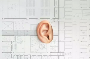 plan architektoniczny z wyciętym środkiem na którym znajduje się ucho człowieka