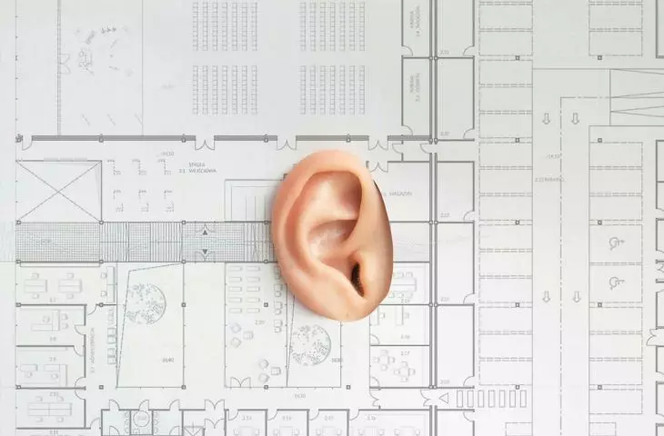 plan architektoniczny z wyciętym środkiem na którym znajduje się ucho człowieka