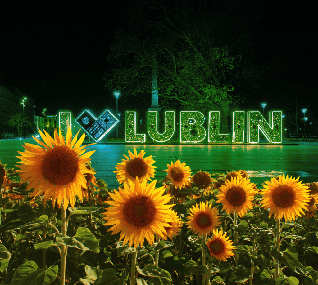 Kolaż zdjęć. Na pierwszym planie kwitnące słoneczniki w tle Plac Litewski w Lublinie z charakterystycznym napisem "I Love Lublin" podświetlonym na zielono