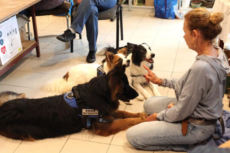 Od prawej Violetta Rycaj-Lewandowska siedzi na podłodze przed swoimi psami terapeutami: Emmą, Dino i Megi. Kobieta palcem wydaje im komendę