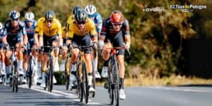 Grupa profesjonalnych kolarzy ściga się na nasłonecznionej drodze podczas Tour de Pologne. W tle widoczne są drzewa.