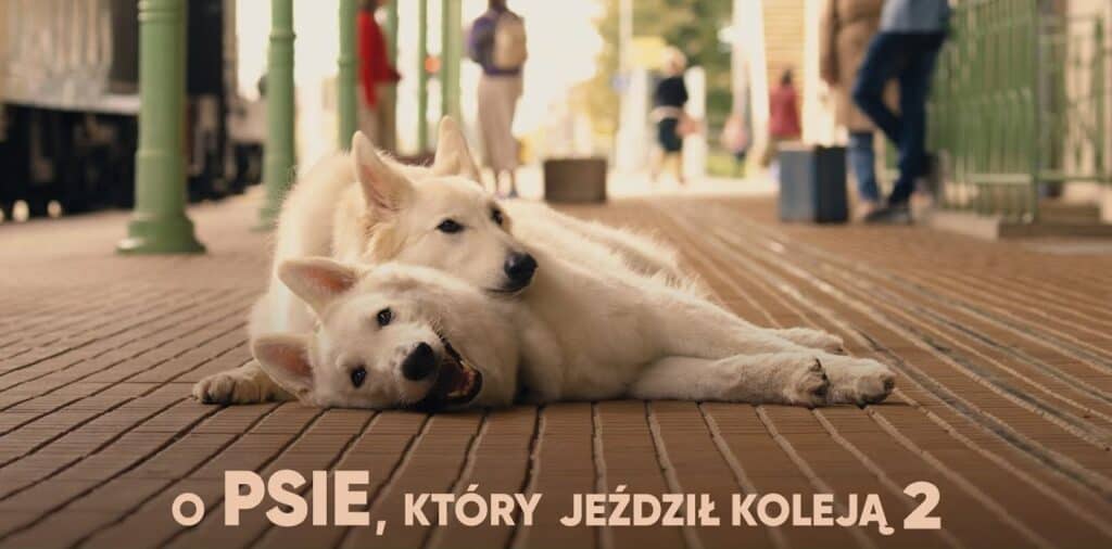 Dwa białe psy leżą na peronie dworca kolejowego, jeden opiera głowę na drugim; w tle widać ludzi i pociąg.