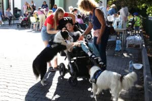 Przy wózku, w którym siedzi młody człowiek, stoją dwie kobiety – po prawej i lewej stronie wózka. Przed wózkiem dwa psy. Pierwszy, z lewej przednimi łapami opiera się o nogi chłopca. Drugi stoi przed wózkiem. Obydwa psy mają kamizelki psa terapeuty. W tle dzieci i osoby dorosłe