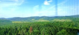 Widok z wieży widokowej na Przełęczy Dukielskiej