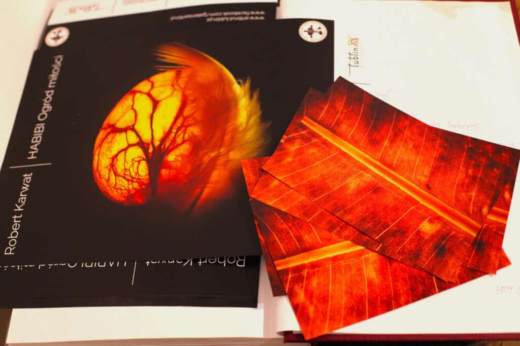 Od lewej plakaty informujące o wystawie Roberta Karwata HABIBI „Ogród miłości” leżące na otwartej księdze pamiątkowej. Obok, z prawej leżą ulotki z intensywnie pomarańczowo-czerwonym wzorem liścia