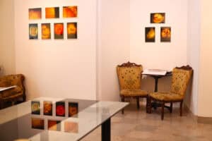 Wnętrze pomieszczenia galerii z jasnymi ścianami i podłogą z beżowych płytek w kształcie plastra miodu. W lewym górnym rogu wiszą dwa rzędy oprawionych zdjęć (część wystawy z przekrojami owoców). Na ścianie po prawej stronie wisi trójkątna kompozycja złożona z trzech fotografii, ukazujących podświetlone pióra i jaskrawe, organiczne kształty. Na pierwszym planie po prawej stronie stoją dwa rzeźbione krzesła w stylu barokowym, z musztardową, wzorzystą tapicerką, oddzielone małym, okrągłym stolikiem z książką. Na dole widoczna jest duża, szklana powierzchnia stołu, w której odbijają się zdjęcia z lewej ściany