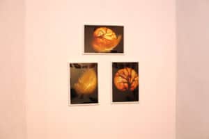 Trzy prostokątne, oprawione zdjęcia wiszące na jasnej ścianie w układzie trójkąta. Na każdym z nich widoczny jest ten sam motyw: jaskrawo pomarańczowo-żółty obiekt przypominający okrąg, ze wzorem gałęzi drzewa i delikatnymi piórami, wszystko jakby intensywnie podświetlone od wewnątrz