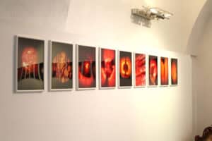 Długi, poziomy rząd dziewięciu oprawionych fotografii wiszących na białej ścianie pod sufitem o sklepionym kształcie. Wszystkie zdjęcia są abstrakcyjnymi zbliżeniami na wnętrza owoców lub organiczne formy, utrzymanymi w intensywnych barwach czerwieni, pomarańczu i bordo. Kompozycje te charakteryzują się wyraźnymi, włóknistymi lub świetlistymi strukturami. U góry widoczna jest metalowa, podwójna lampa oświetlająca ścianę