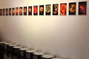 Długi rząd czternastu oprawionych w czarne ramki fotografii wiszących wysoko na gładkiej, białej ścianie galerii. Wszystkie zdjęcia są pionowe i ukazują abstrakcyjne zbliżenia na organiczne formy, najczęściej okrągłe, przypominające przekroje owoców, utrzymane w kontrastujących barwach czerwieni, pomarańczu i czerni. Poniżej, wzdłuż ściany, stoi rząd czarnych taboretów z białymi, okrągłymi siedziskami z widocznymi, czarnymi napisami o treści „Teatroterapia Lubelska”